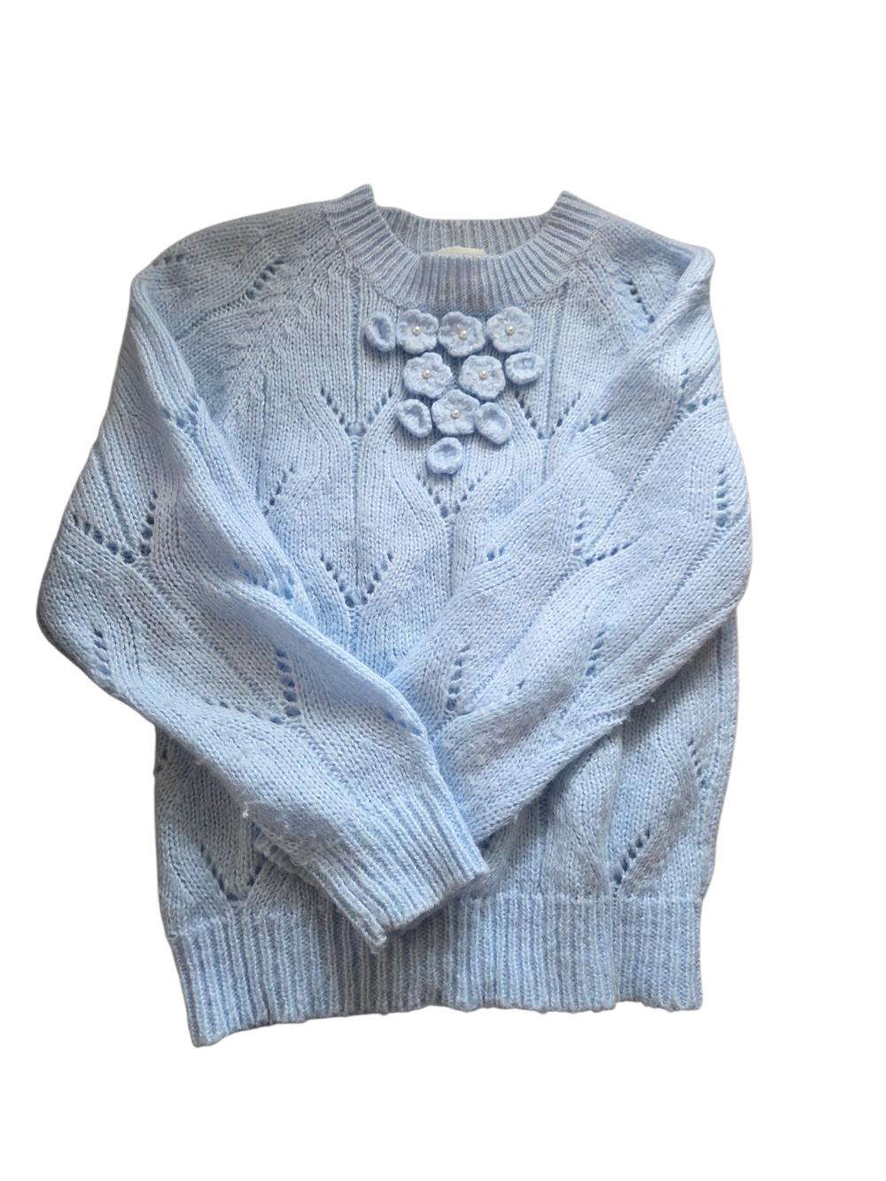 Light Blue Vintage Sweater With Applique